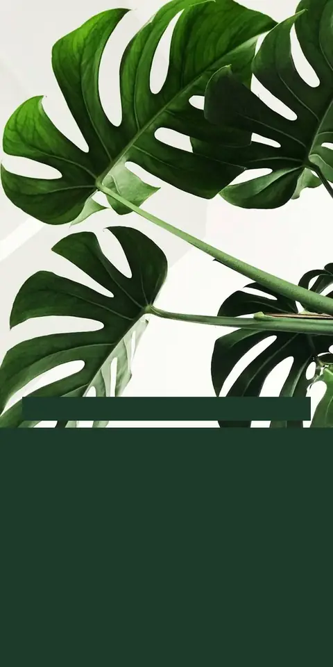 Digital christening invitation for a boy, Jungle design