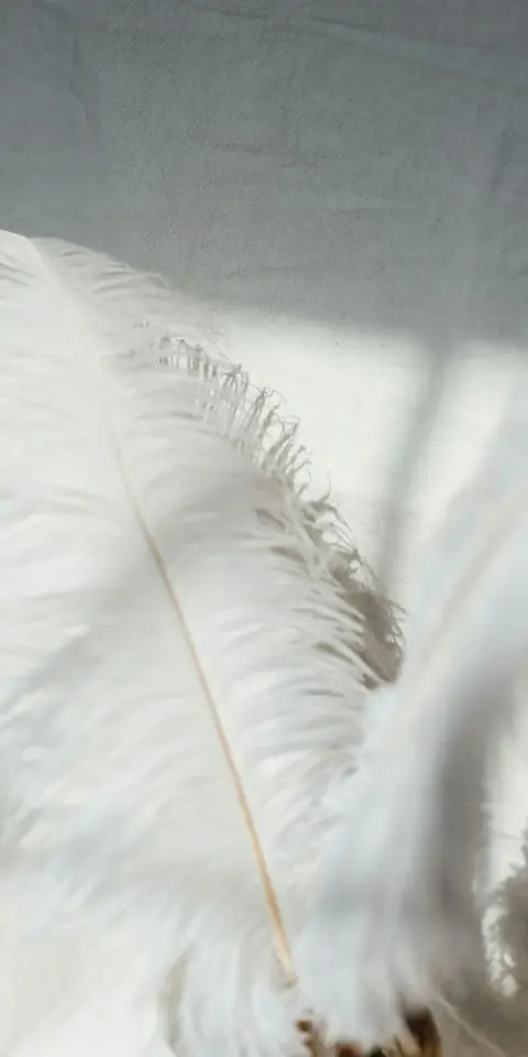 Digital wedding invitation, Ostrich feathers design