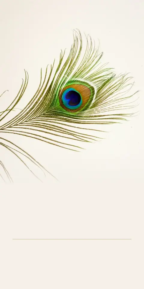 Digital wedding invitation, Peacock feather design