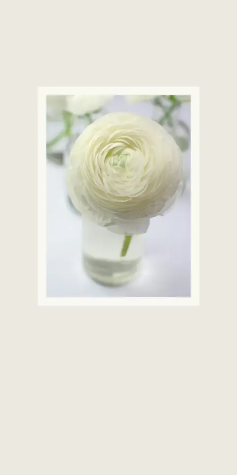 Digital invitation for an engagement party, Ranunculus design