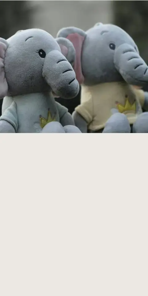 Digital christening invitation for twins, Two elephants design
