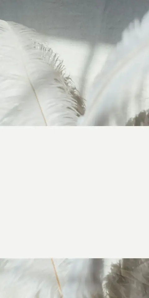 Digital wedding invitation, White feathers design