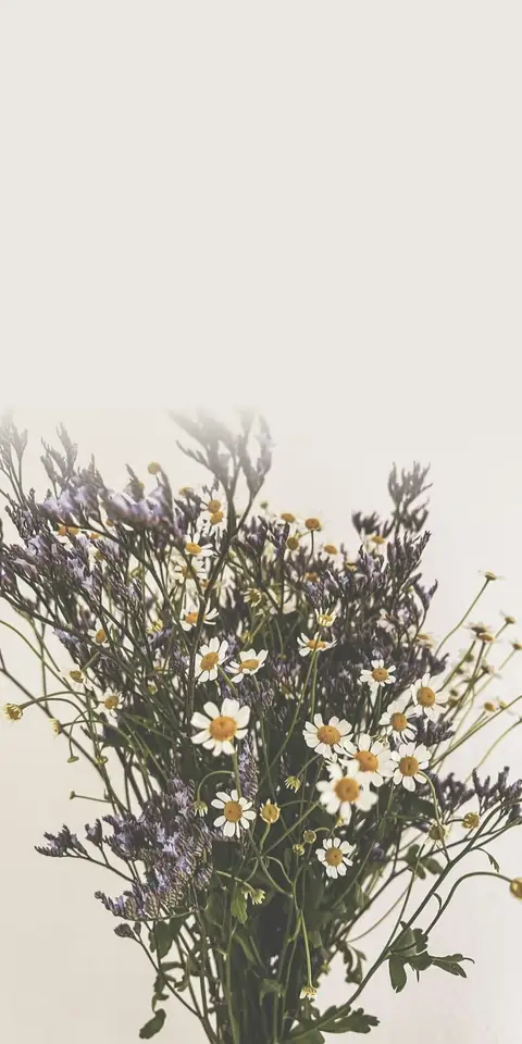 Digital wedding invitation, Wildflowers design